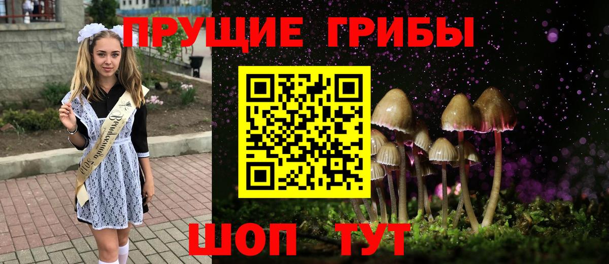 Керчь  Псилоцибиновые грибы мухоморы  закладки  Вход с VPN 